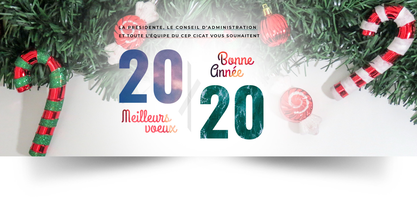 Le CEP vous souhaite une bonne année 2020